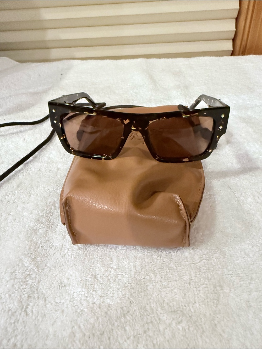 Men's Brown Sunglasses Case with Tortoiseshell Glasses
